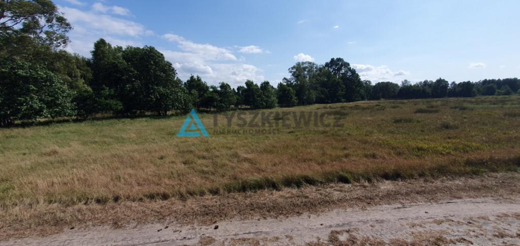 Duża działka nad morzem - zdjęcie 6