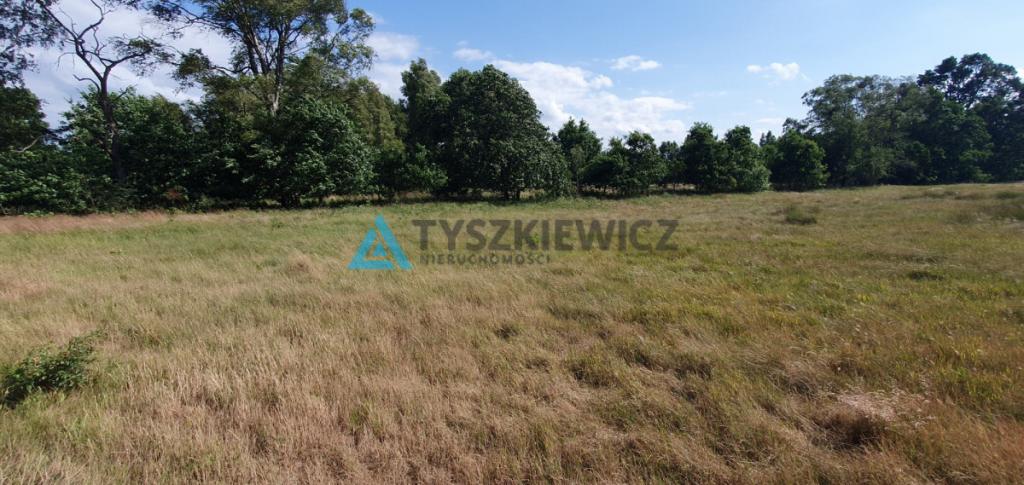 Duża działka nad morzem - zdjęcie 10