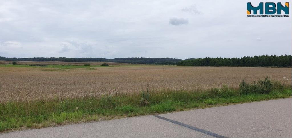 Działka rolna 3016&nbsp;m², Mioduńskie - zdjęcie 5