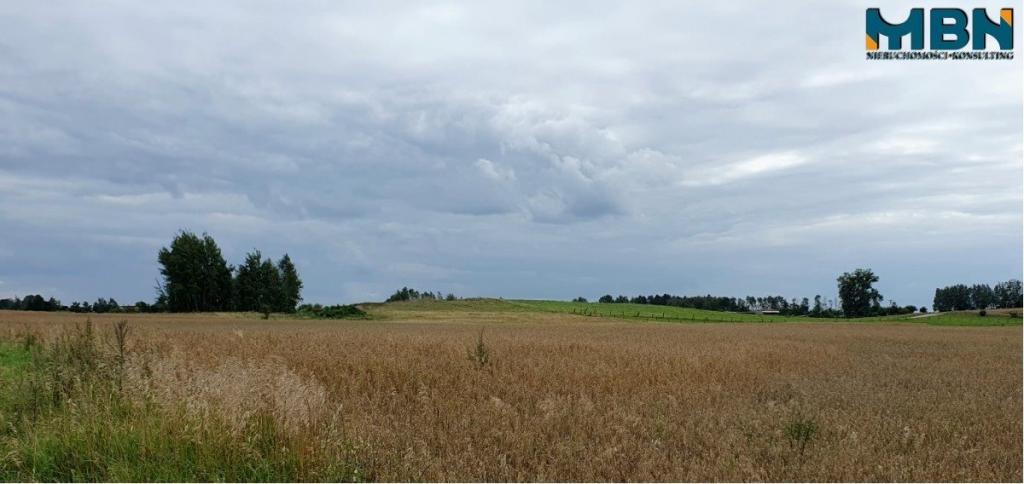 Działka rolna 3016&nbsp;m², Mioduńskie - zdjęcie 7