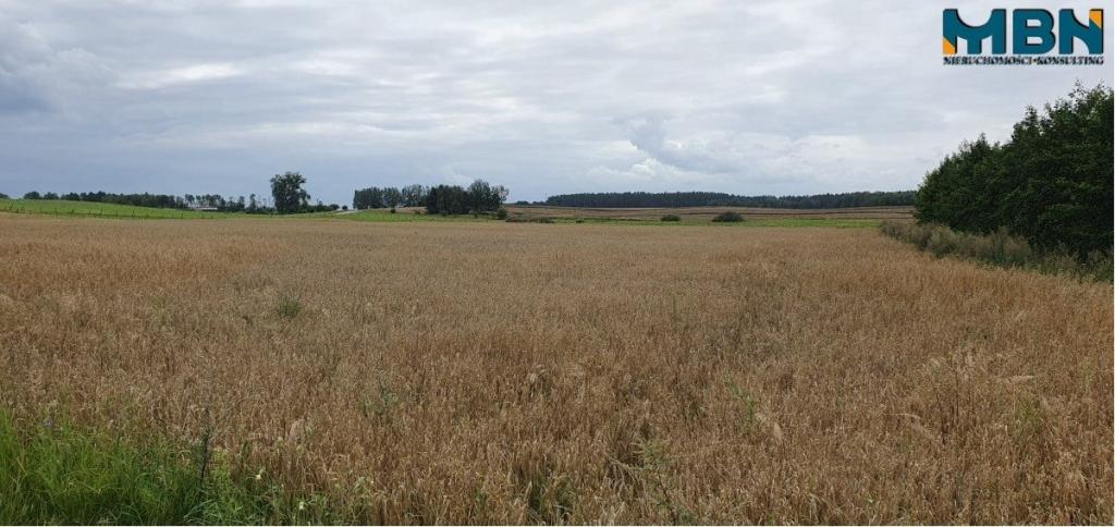 Działka rolna 3016&nbsp;m², Mioduńskie - zdjęcie 6