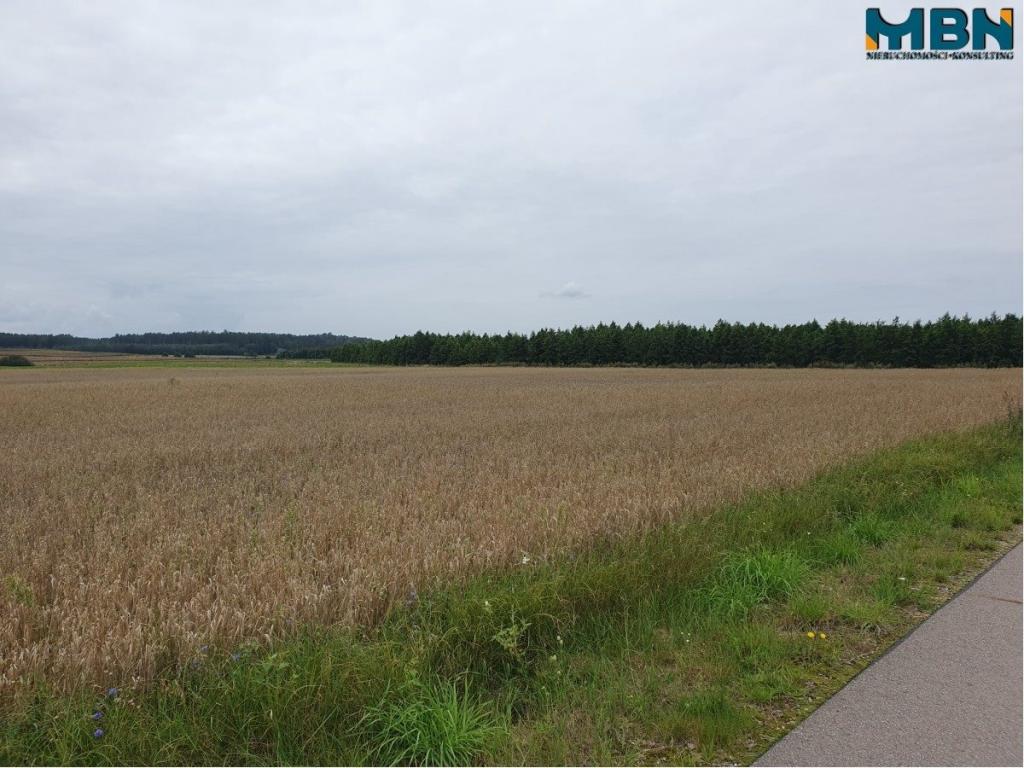 Działka rolna 3016&nbsp;m², Mioduńskie - zdjęcie 4