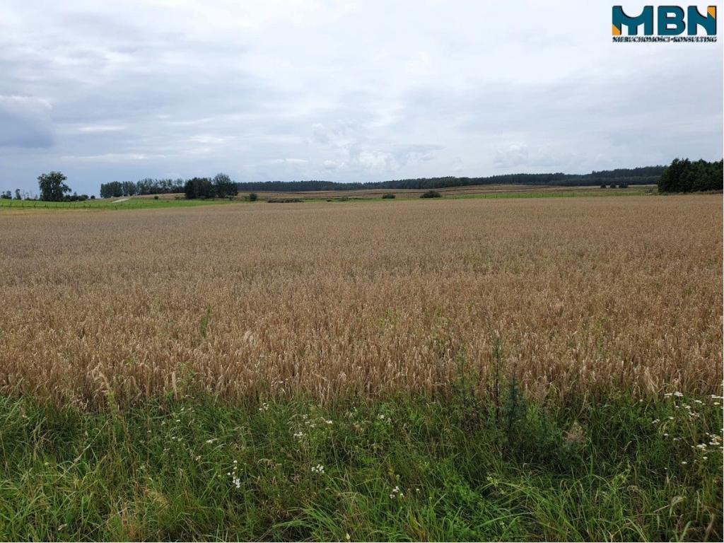 Działka rolna 3016&nbsp;m², Mioduńskie - zdjęcie 8