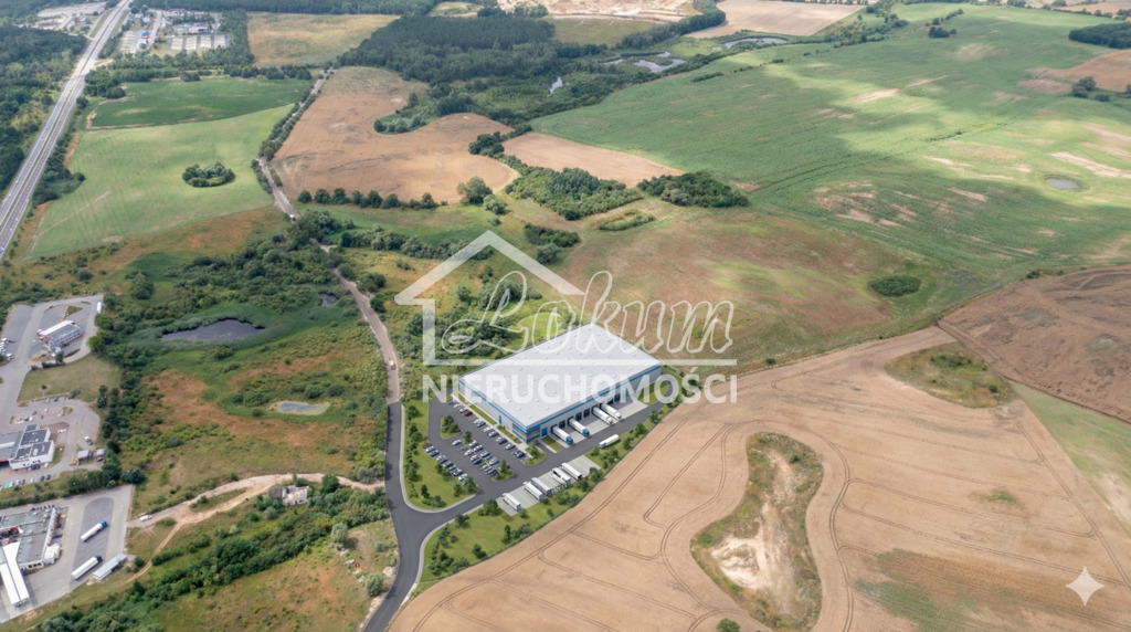 Działka inwestycyjna 3,08 ha, Kołbaskowo - zdjęcie 1