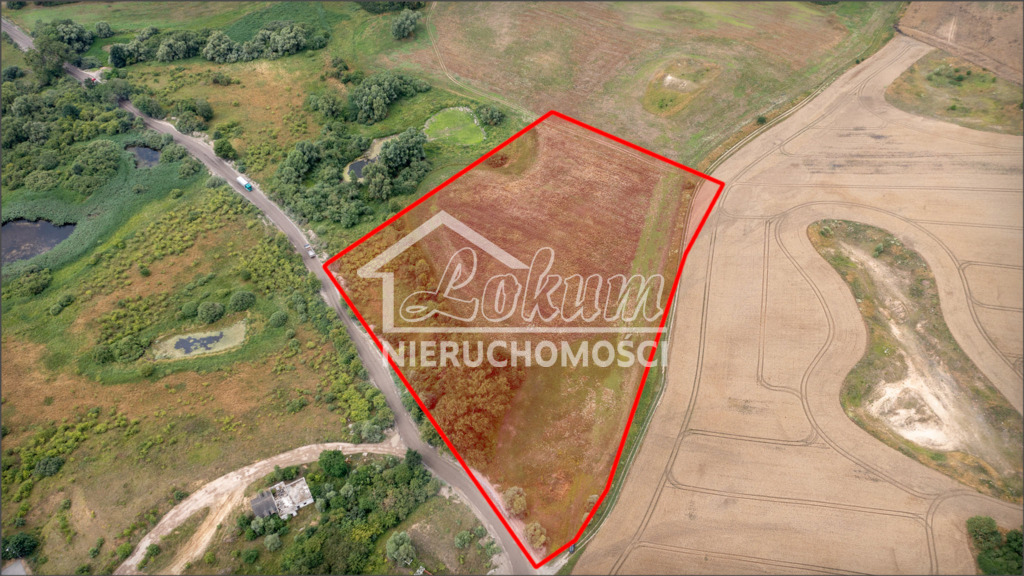 Działka inwestycyjna 3,08&nbsp;ha, Kołbaskowo - zdjęcie 2