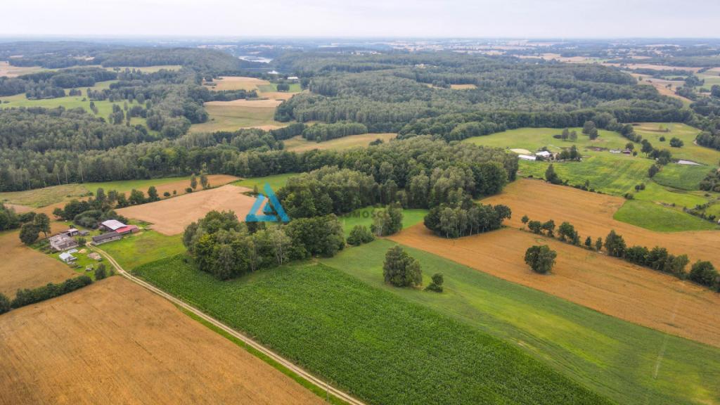 Działka rolna w miejscowości Szumles Królewski - zdjęcie 5