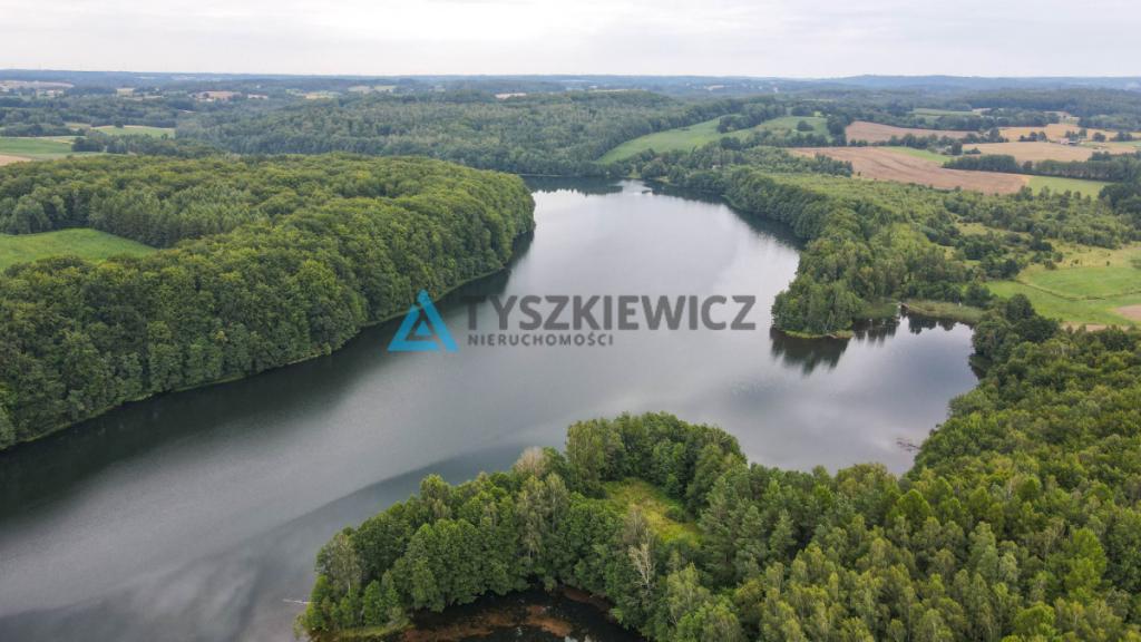 Działka rolna w miejscowości Szumles Królewski - zdjęcie 12