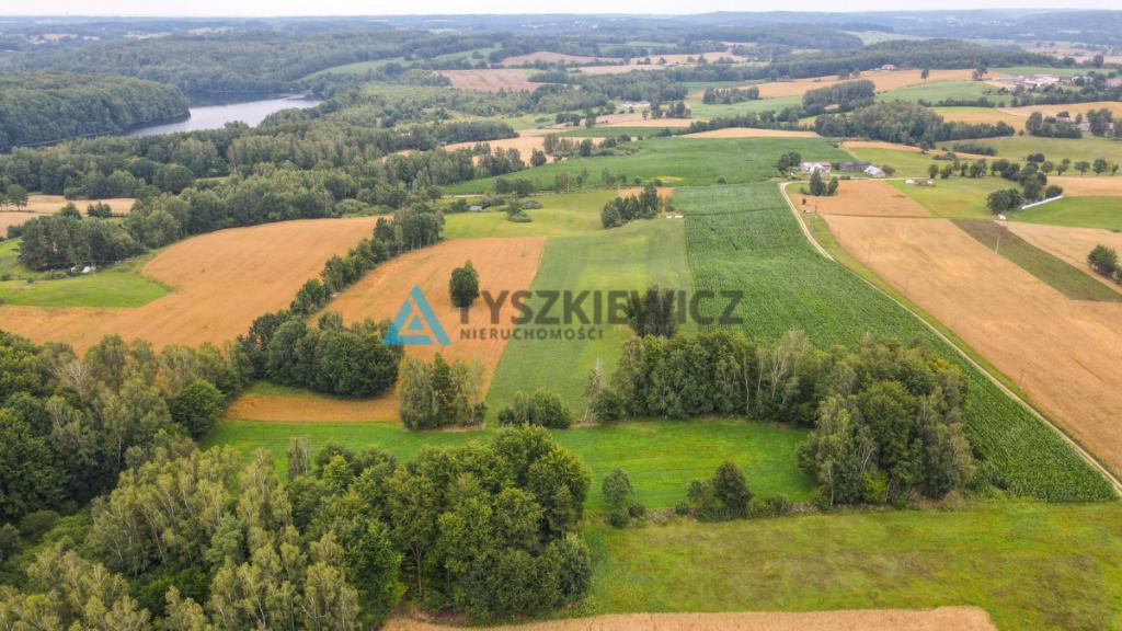 Działka rolna w miejscowości Szumles Królewski - zdjęcie 14