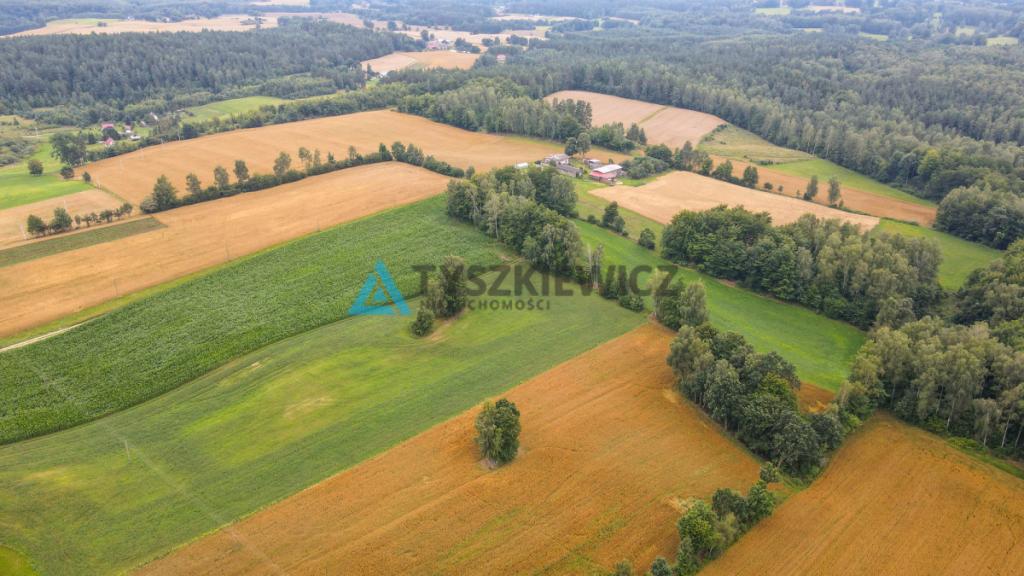 Działka rolna w miejscowości Szumles Królewski - zdjęcie 7