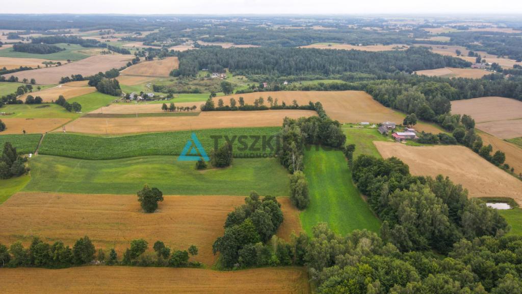 Działka rolna w miejscowości Szumles Królewski - zdjęcie 9
