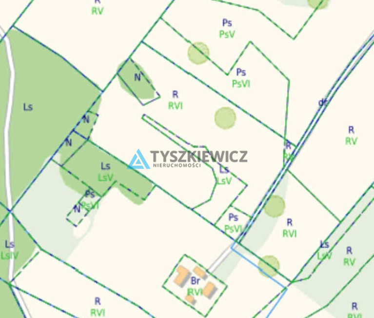 Działka rolna w miejscowości Szumles Królewski - zdjęcie 3