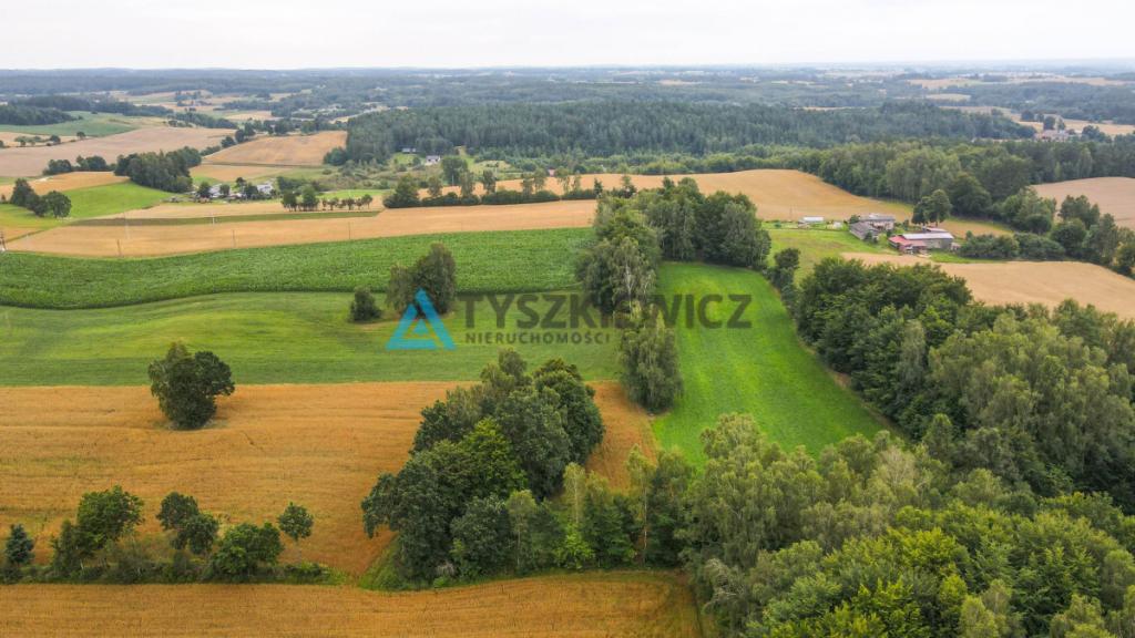 Działka rolna w miejscowości Szumles Królewski - zdjęcie 13
