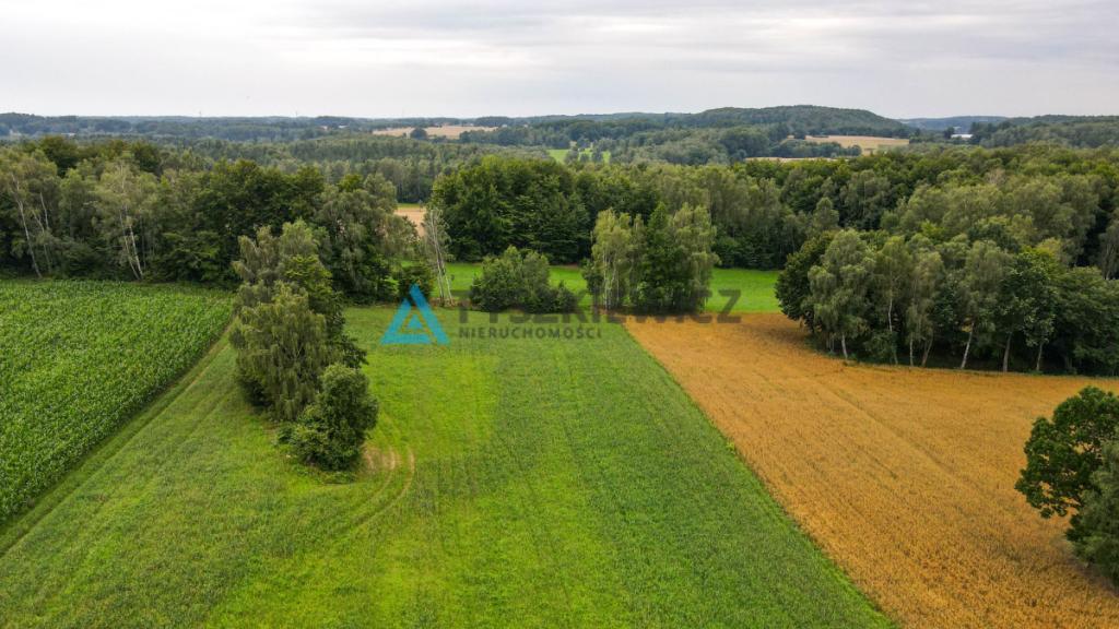 Działka rolna w miejscowości Szumles Królewski - zdjęcie 18