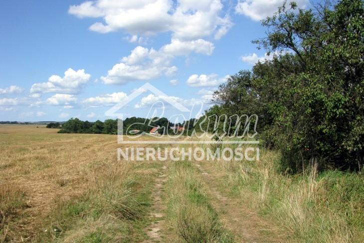 Działka rolna 4,70&nbsp;ha, Barnisław - zdjęcie 1