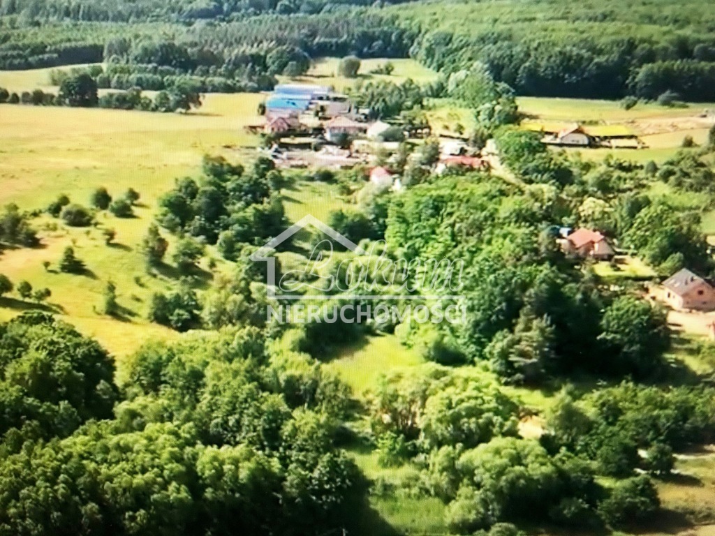 Działka rolna 4,70&nbsp;ha, Barnisław - zdjęcie 3