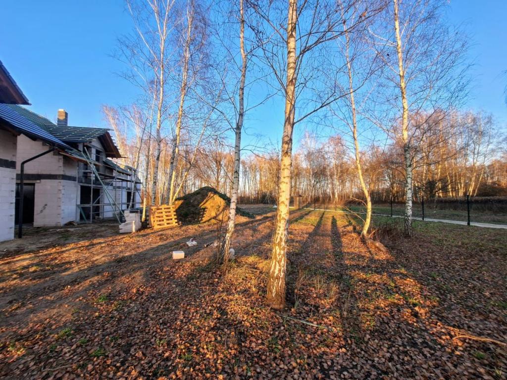 piękny dom w lesie, garaż , blisko PKP - zdjęcie 2