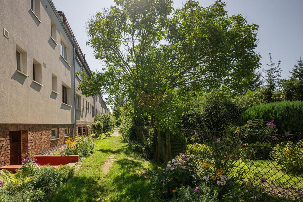 Mieszkanie 71 m², Wrocław, Spółdzielcza - zdjęcie 14