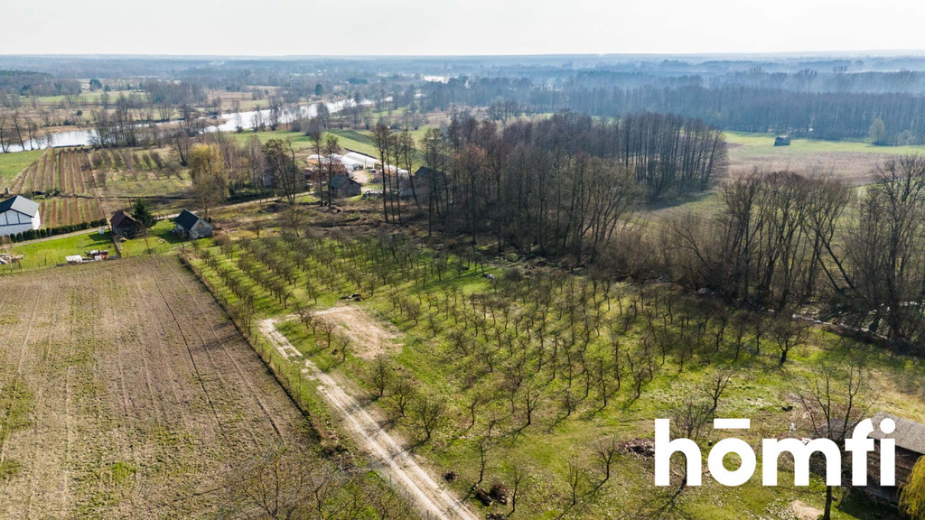 Działka rolna 4938 m², Biejków - zdjęcie 2