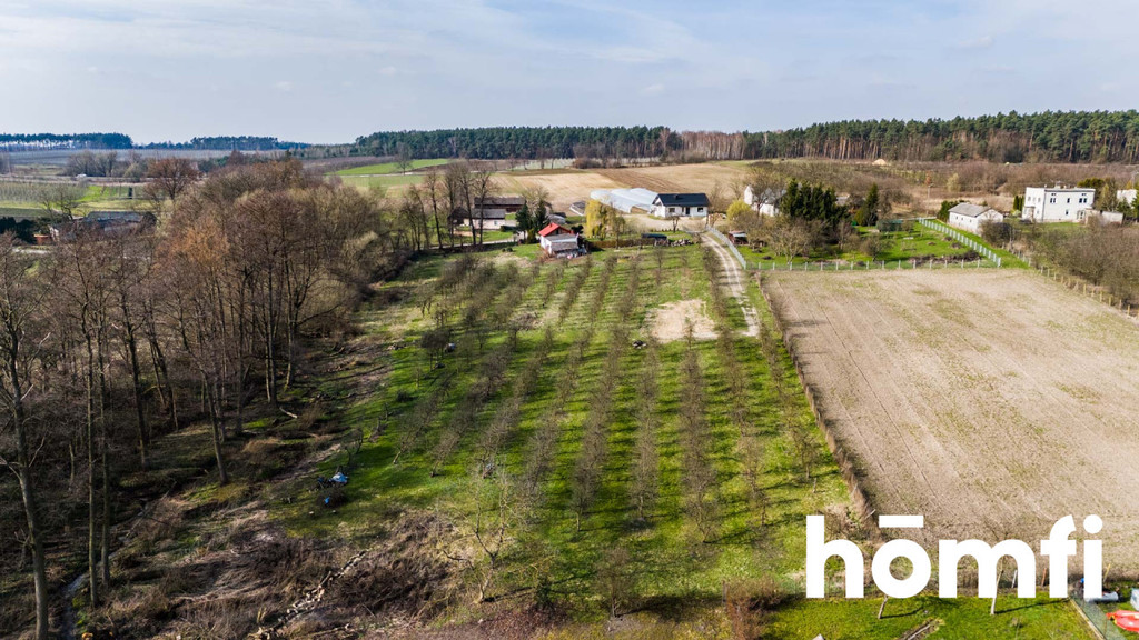 Działka rolna 4938 m², Biejków - zdjęcie 7