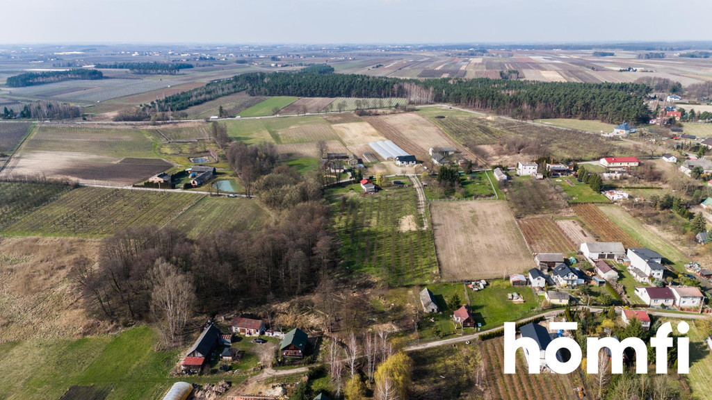 Działka rolna 4938 m², Biejków - zdjęcie 11