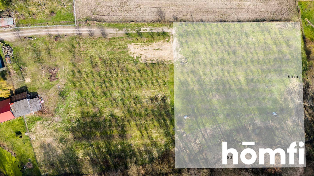 Działka rolna 4938 m², Biejków - zdjęcie 3