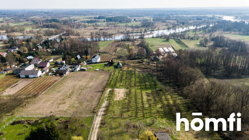 Działka rolna 4938 m², Biejków - zdjęcie 9