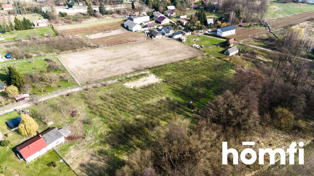 Działka rolna 4938 m², Biejków - zdjęcie 8