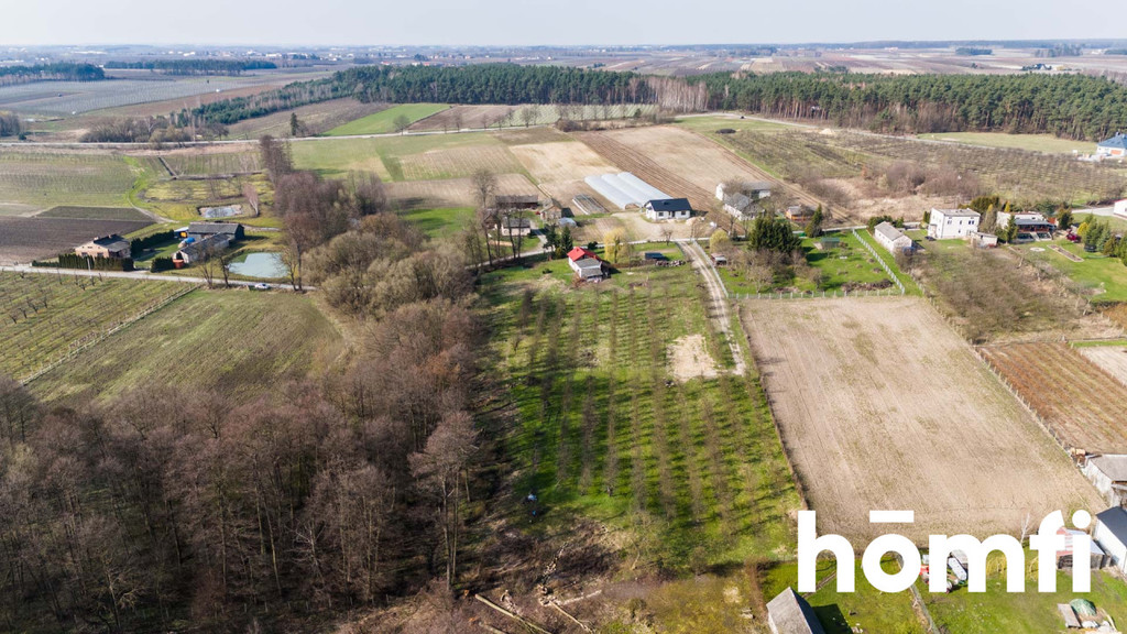 Działka rolna 4938 m², Biejków - zdjęcie 10