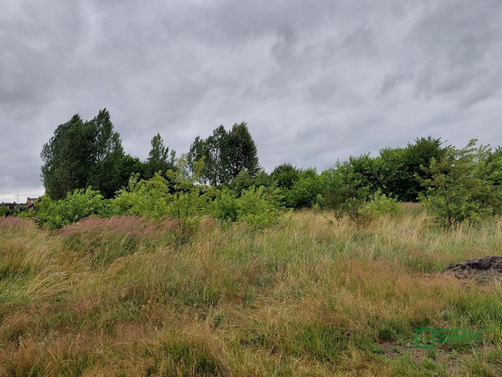 Działka inwestycyjna 2927&nbsp;m², Mysłowice, Górnośląska - zdjęcie 2