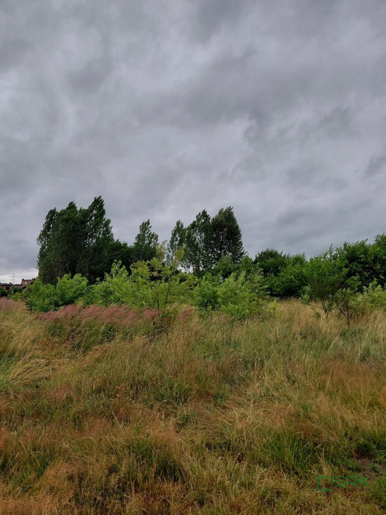 Działka inwestycyjna 2927&nbsp;m², Mysłowice, Górnośląska - zdjęcie 3
