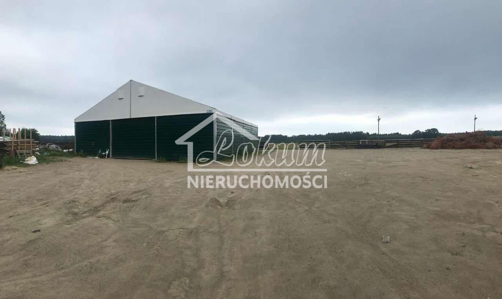 Działka rolna 92,70&nbsp;ha, Iglice - zdjęcie 2