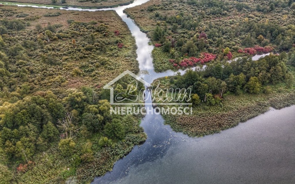 Działka rolna 5640&nbsp;m², Moczyły - zdjęcie 3