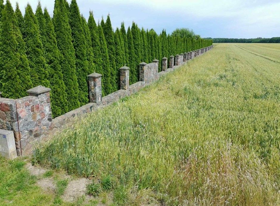 Rezydencja do własnej Aranżacji z dużą działką - zdjęcie 19