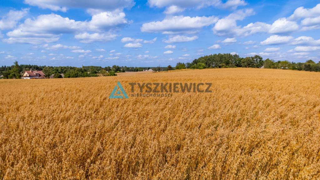 Działka usługowo-przemysłowa w Kościerzynie - zdjęcie 20