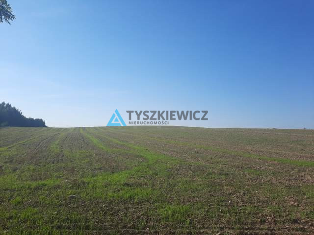 Działka usługowo-przemysłowa w Kościerzynie - zdjęcie 27