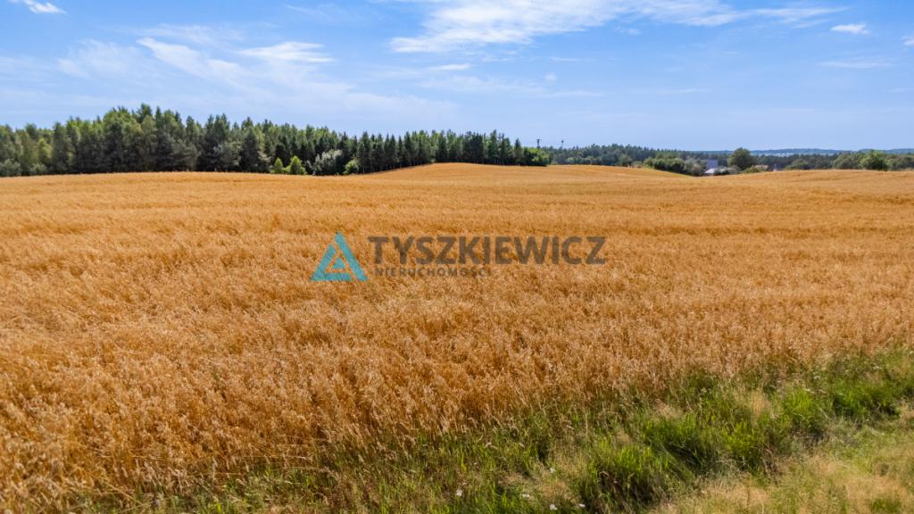 Działka usługowo-przemysłowa w Kościerzynie - zdjęcie 3