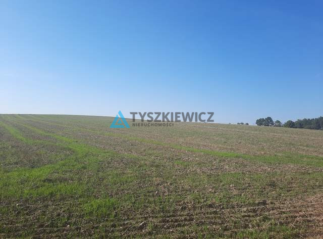 Działka usługowo-przemysłowa w Kościerzynie - zdjęcie 25