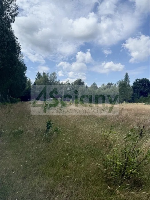 Działka budowlana 1435&nbsp;m², Zalesie - zdjęcie 3