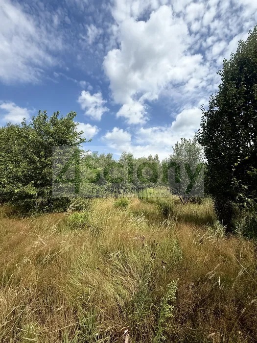 Działka budowlana 1435&nbsp;m², Zalesie - zdjęcie 1
