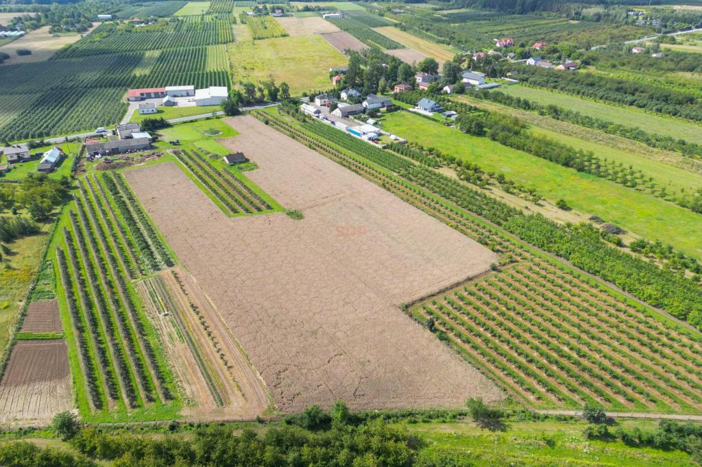 Działka rolna 1,48 ha, Marianka, 1 Maja - zdjęcie 6