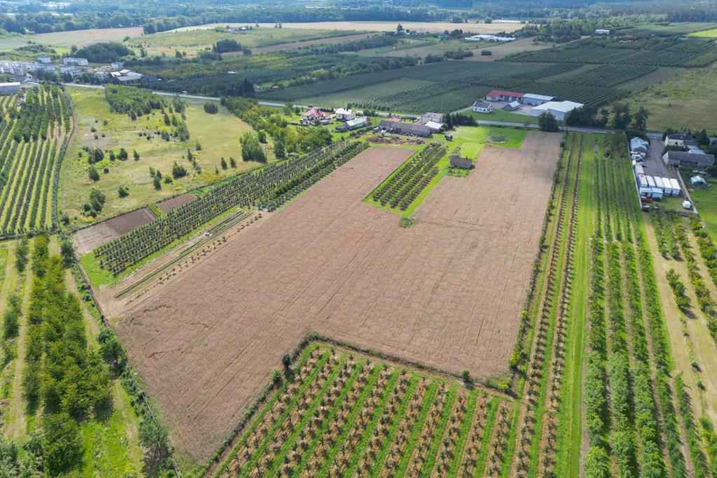 Działka rolna 1,48 ha, Marianka, 1 Maja - zdjęcie 5