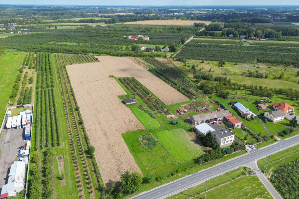Działka rolna 1,48 ha, Marianka, 1 Maja - zdjęcie 2