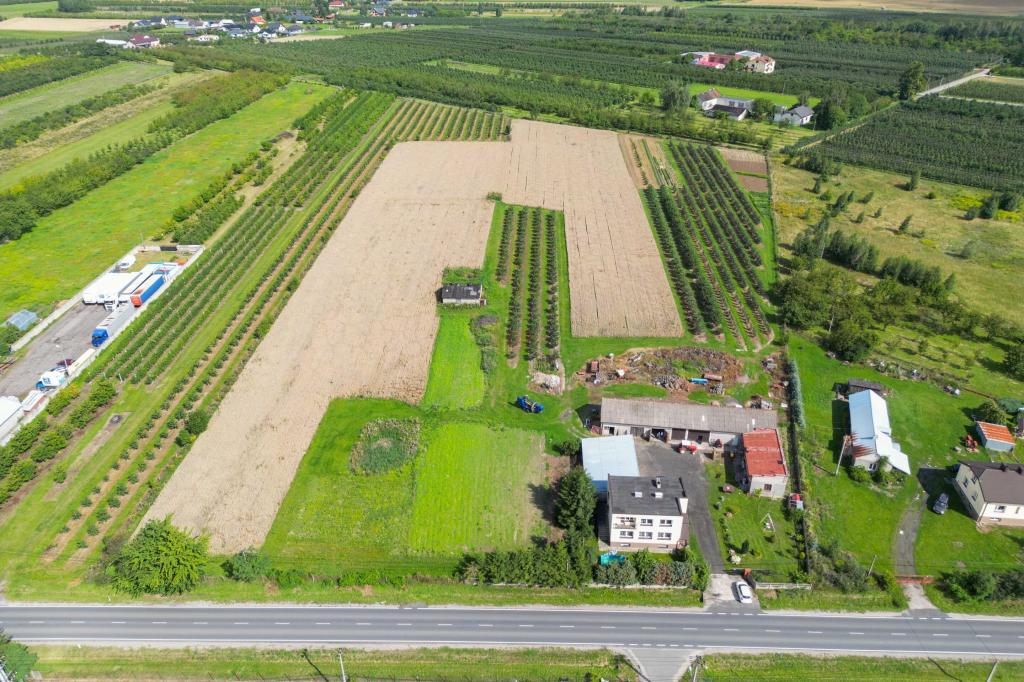 Działka gospodarstwo 2,49 ha, Marianka, 1 Maja - zdjęcie 2