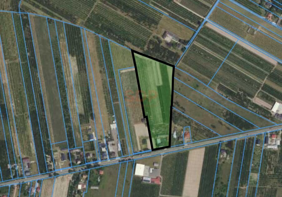 Działka gospodarstwo 2,49 ha, Marianka, 1 Maja - zdjęcie 12