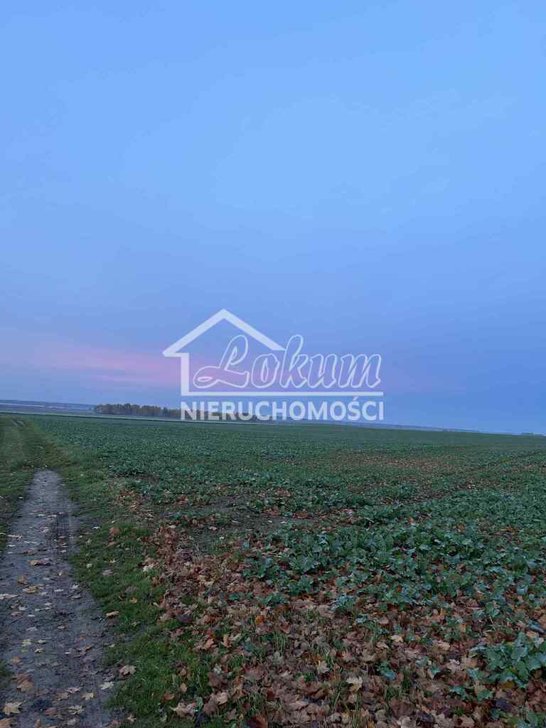 Działka budowlana 2,62&nbsp;ha, Banie - zdjęcie 2