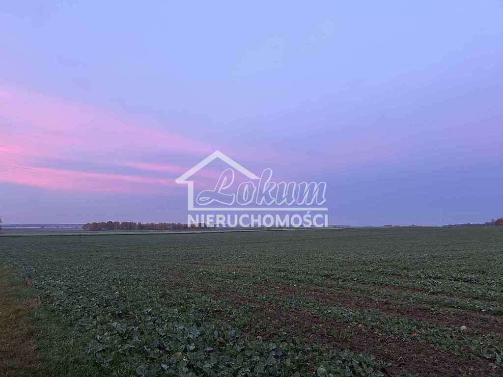 Działka budowlana 2,62&nbsp;ha, Banie - zdjęcie 1