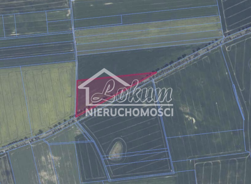 Działka budowlana 2,62&nbsp;ha, Banie - zdjęcie 4