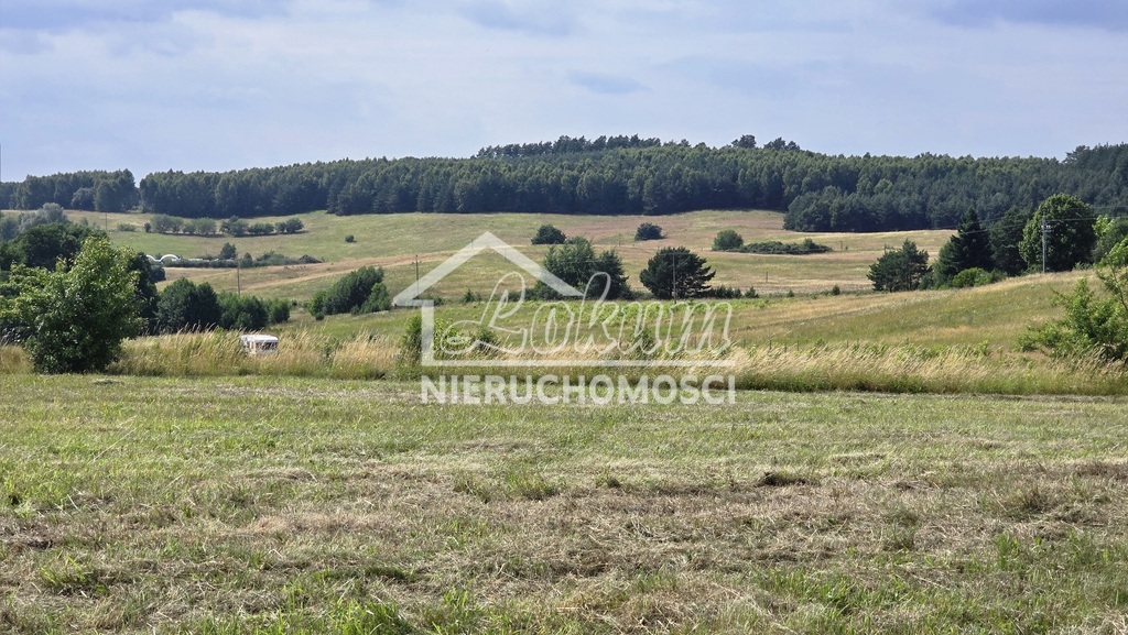 Działka rolna 2054&nbsp;m², Lubieszewo - zdjęcie 18