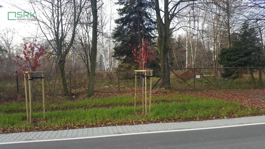 Działka inwestycyjna 1,04 ha, Brzeszcze, Siedliska - zdjęcie 4