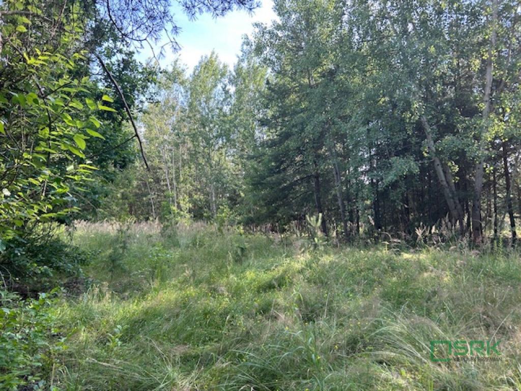 Działka inwestycyjna 5,46&nbsp;ha, Mysłowice, 11 listopada - zdjęcie 5